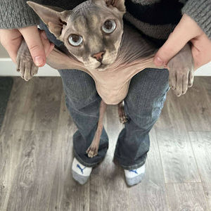 Meet your Posher, Jordyn